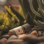 小煙油 Ripe Vapes 生命之樹煙油 30ml/30mg-VCT系列 冰涼水果系列 聖胡安系列 美國進口：圖片 5