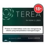 TEREA加熱煙 亞洲版TEREA菸彈 ILUMA專用系列 亞T 加熱不燃燒菸推薦：圖片 2